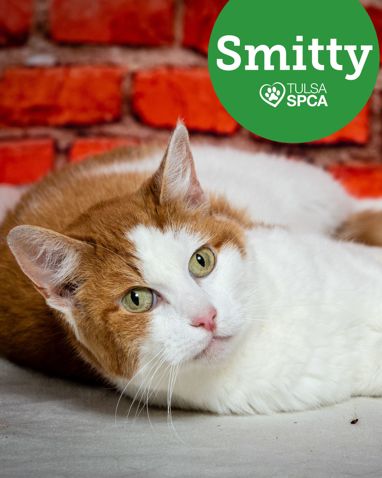 Smitty